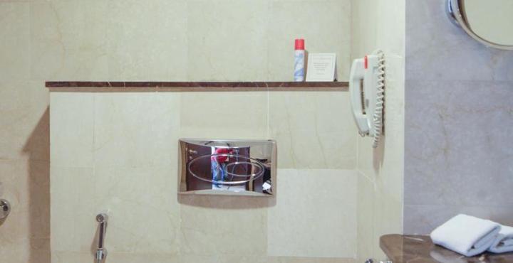 Hotel Adarsh Hamilton 4*
