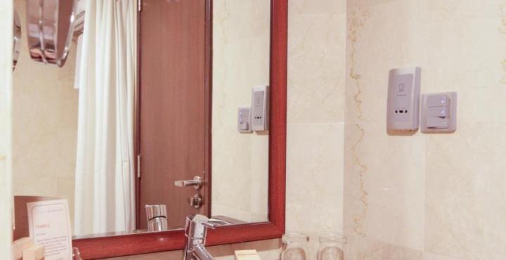 Hotel Adarsh Hamilton 4*