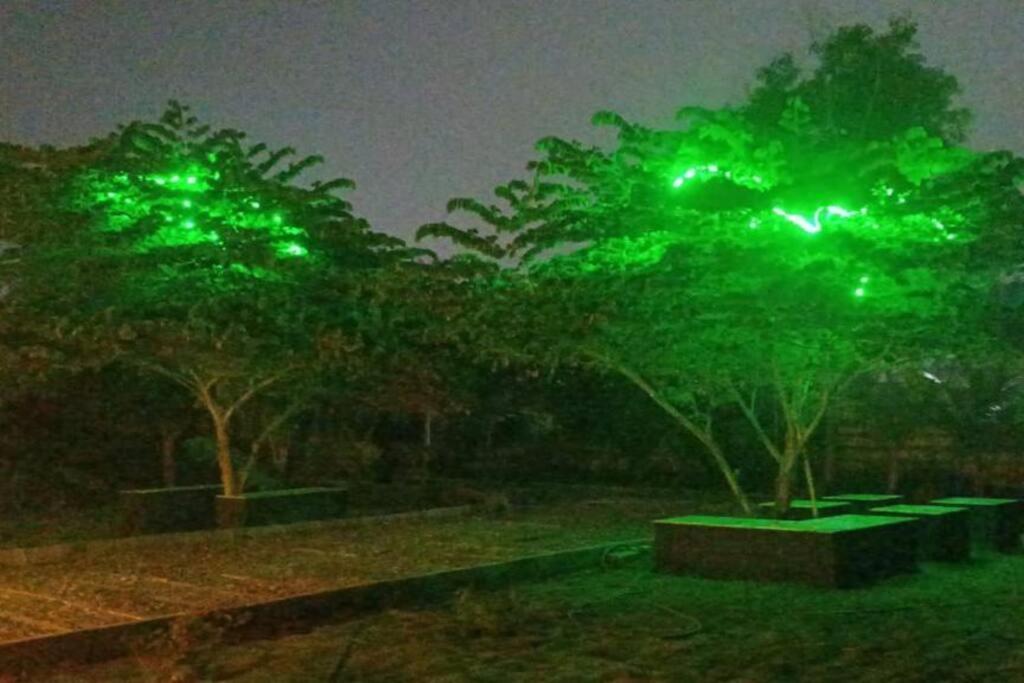 Sai - Abode Of Peace