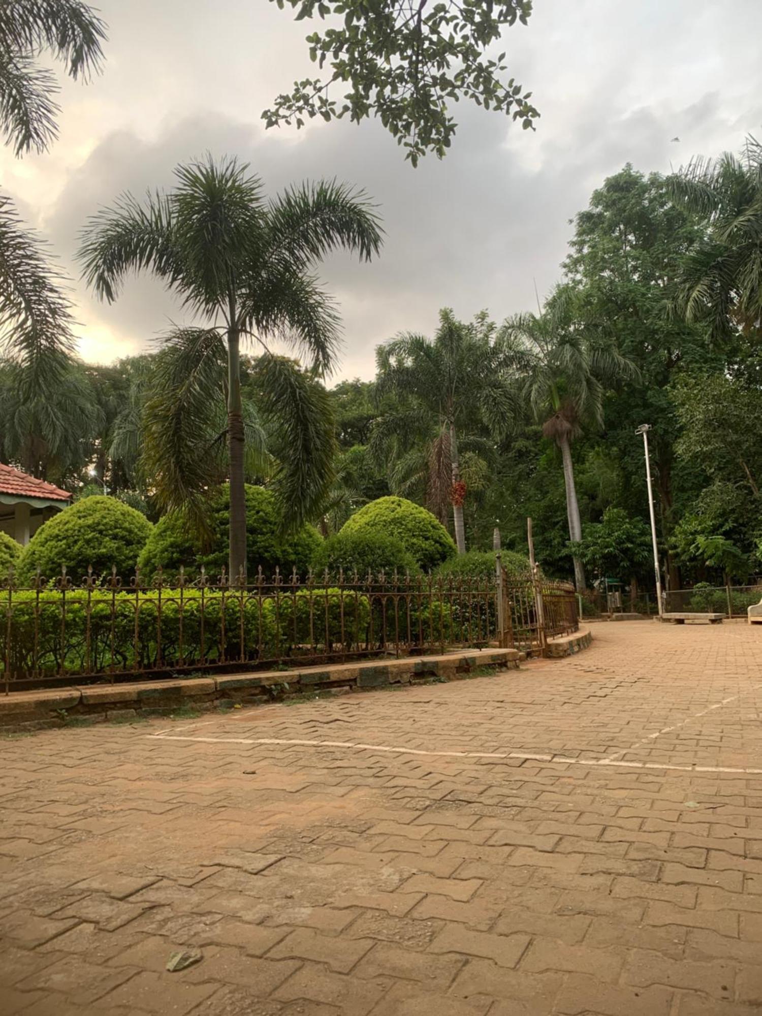 Lexus * Bangalore