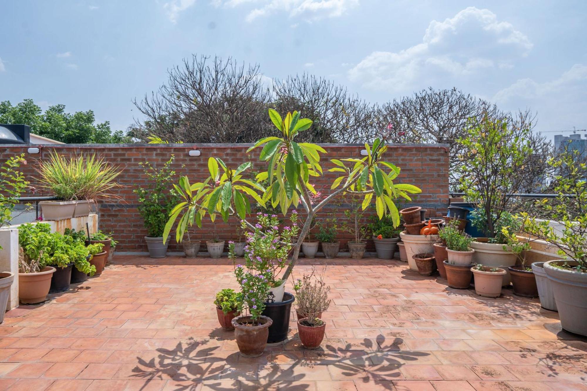 Luxury Vintage 3bhk Penthouse Apartment Bangalore