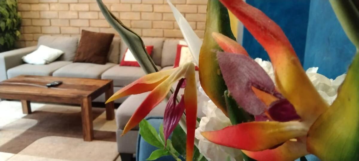 Comfy 4bhk Only For Families Apartment *