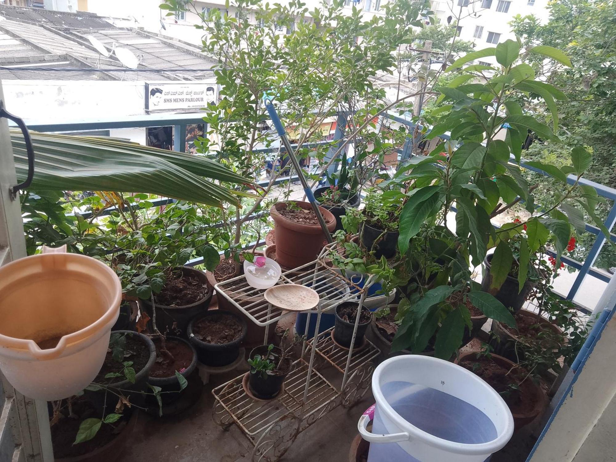 Apartment Naik's Nest Bangalore