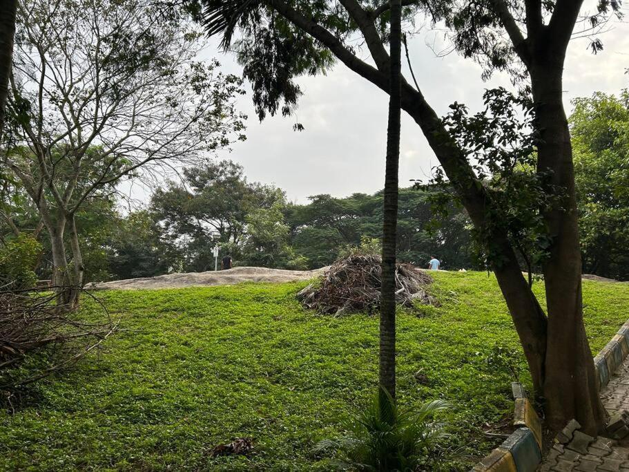 Apartment A Calm And Peaceful 1bhk Near Jp Nagar Bangalore