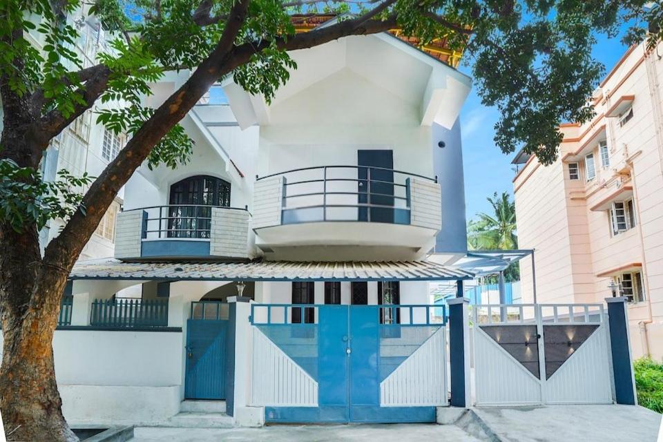 Palm Mystic - Indiranagar *
