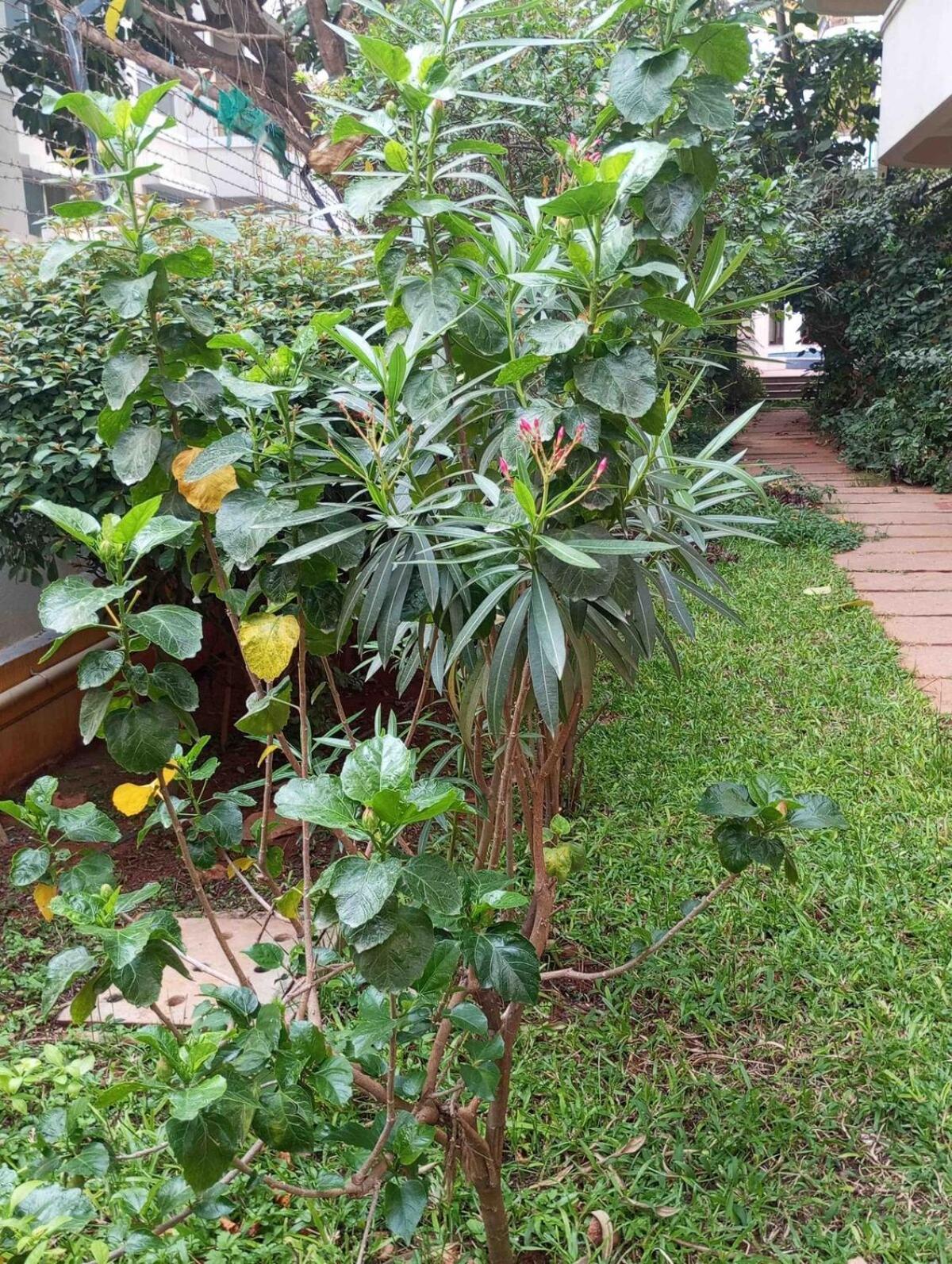 Amazistay Offers A Smart With Private Hot Jacuzzi * Bangalore