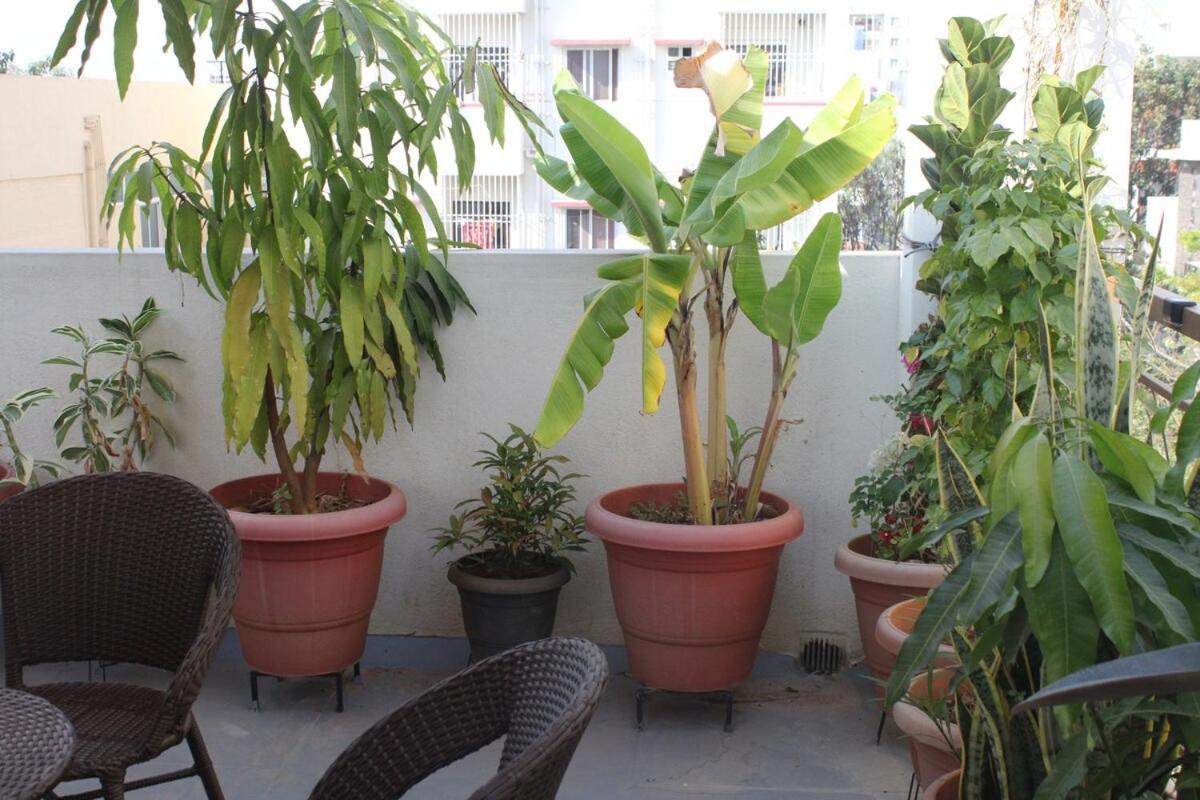 Entire Terrace Penthouse - Near Manyata Tech Park Bangalore