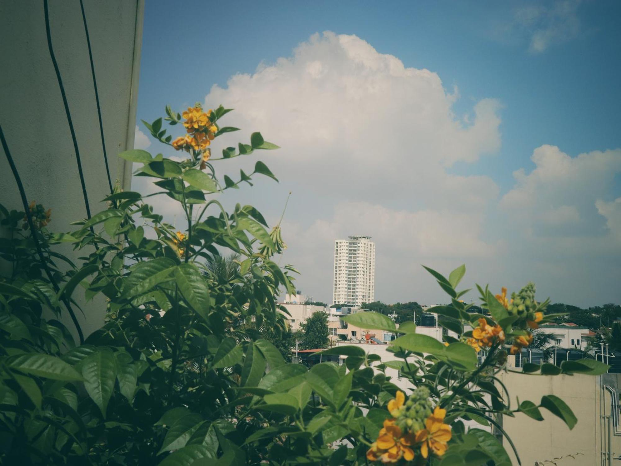 The Path Eco Apartment