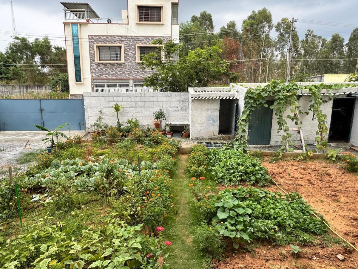 Electronic Phase 1misty Woods With Garden Access Apartment Bangalore
