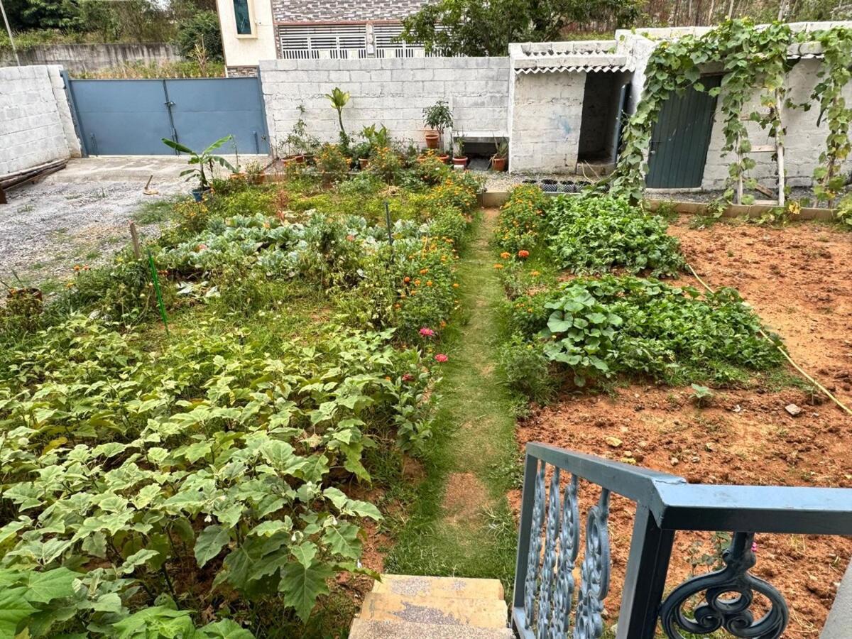Electronic Phase 1misty Woods With Garden Access Bangalore