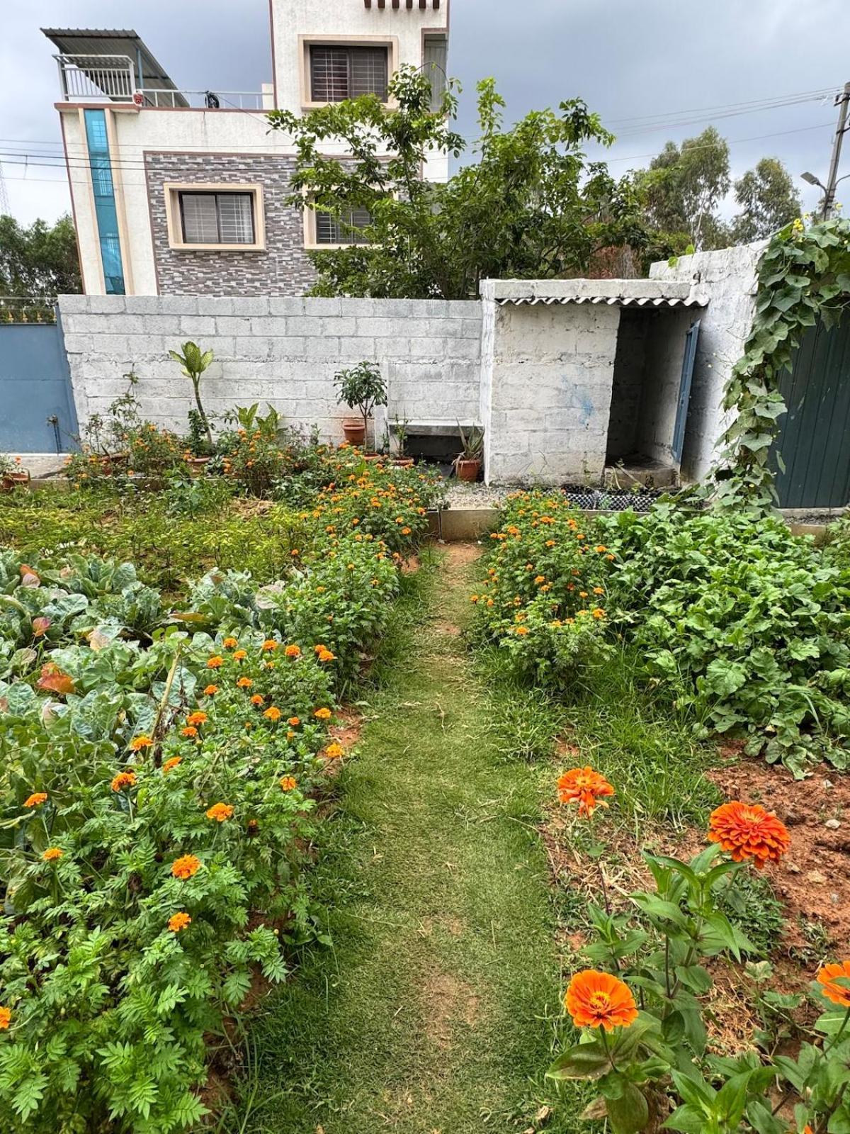 Electronic Phase 1misty Woods With Garden Access Apartment *