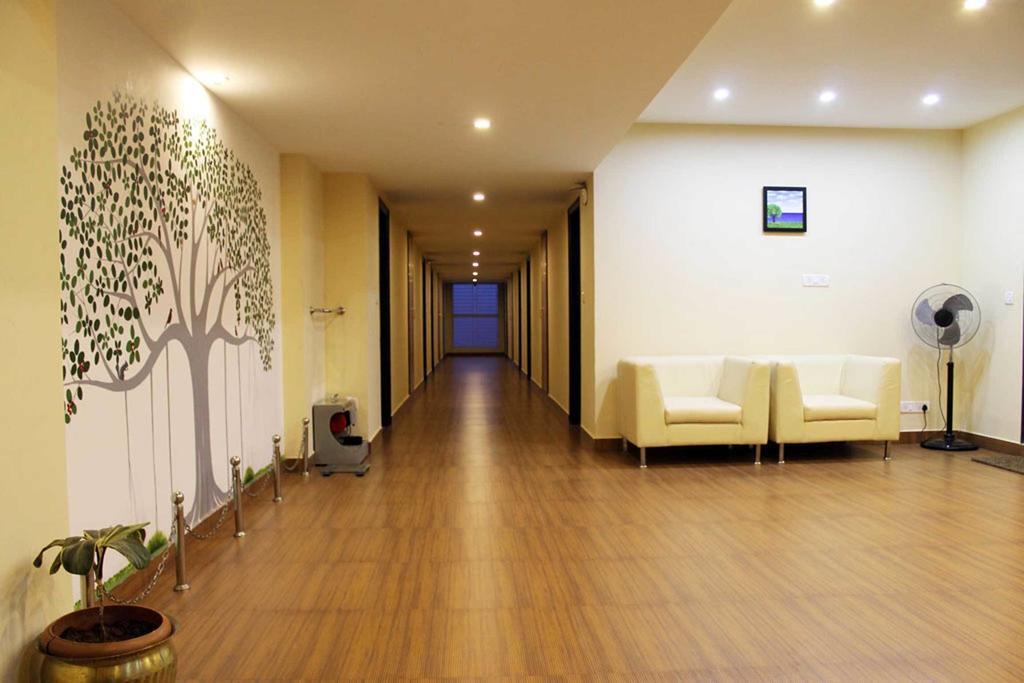Trees Hotel 3*