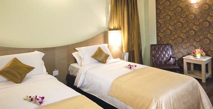 Hotel Roerich Pvt. Ltd 3*