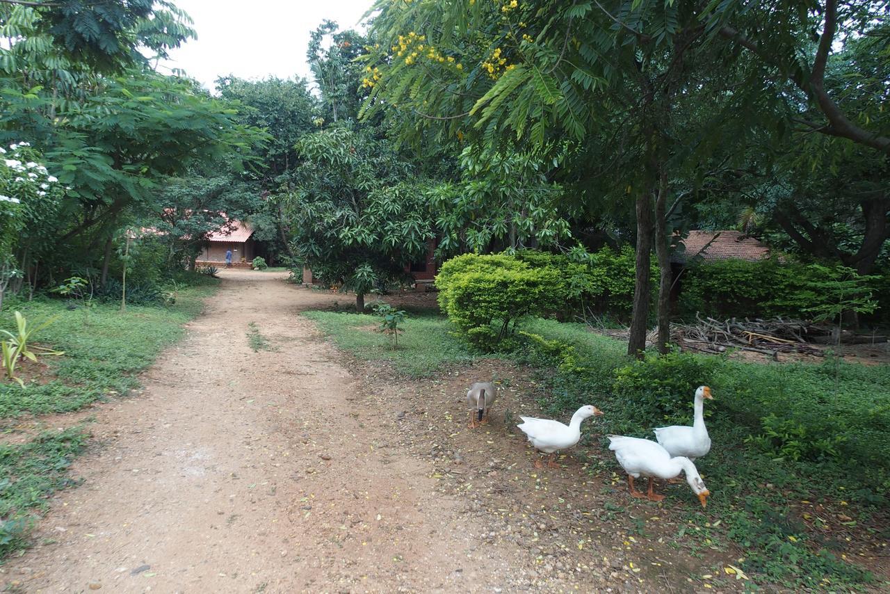 Hospedagem domiciliar Elephant Country Homestay *