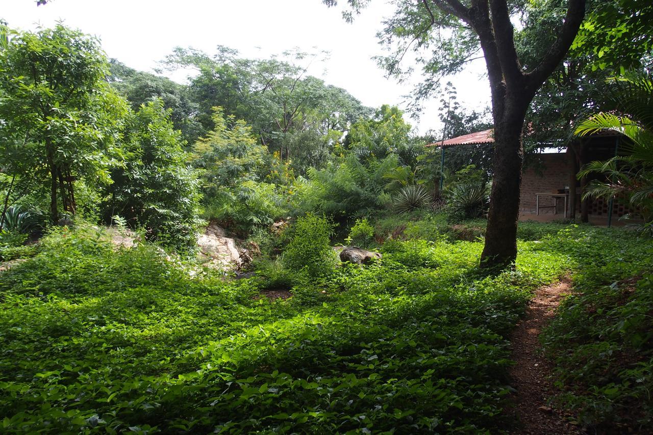 Elephant Country Homestay Hospedagem domiciliar *