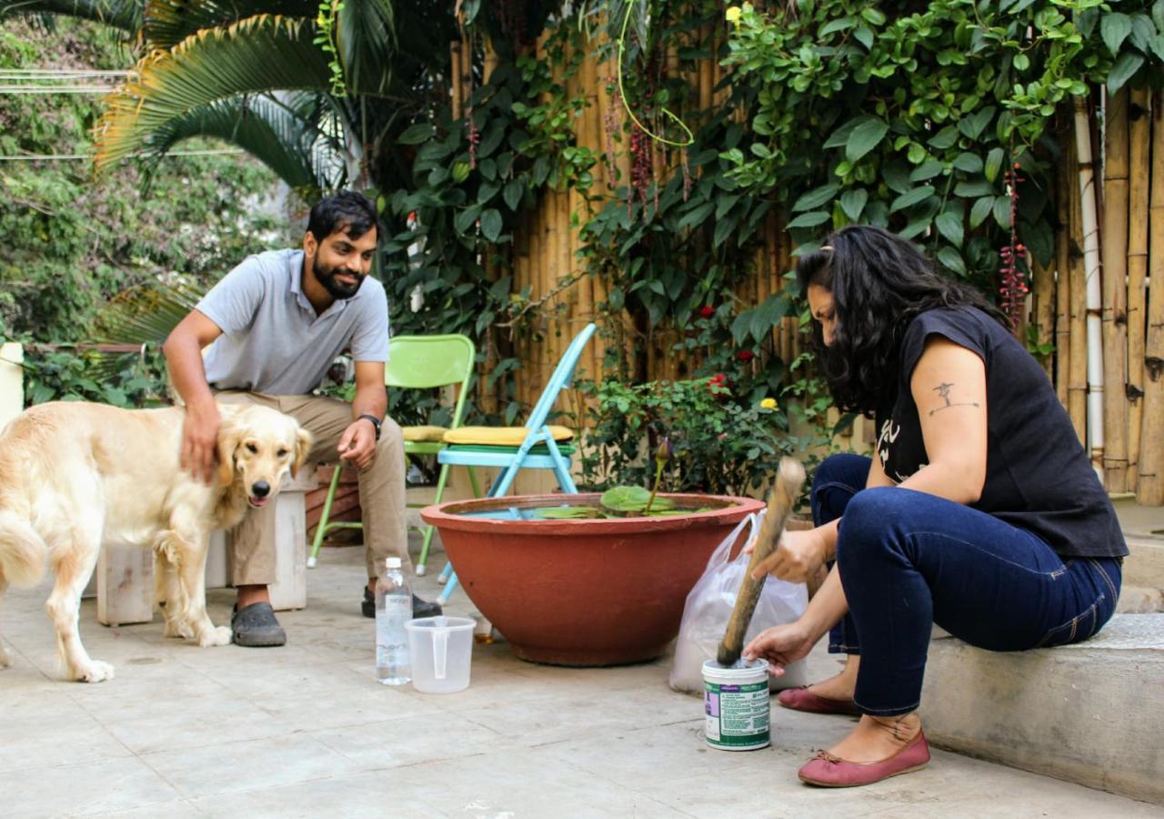 Albergue Tribe Theory Startup Koramangala