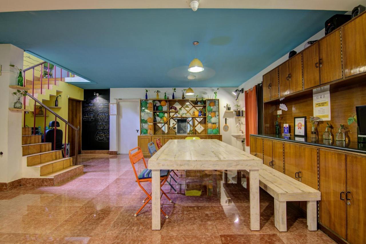 Albergue Tribe Theory Startup Koramangala Bangalore