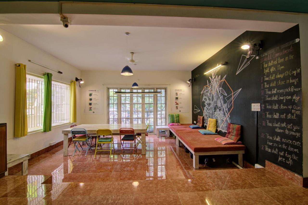 Tribe Theory Startup Koramangala