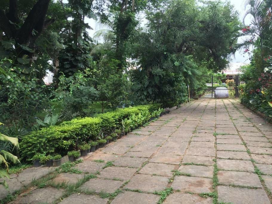 Serena Bangalore