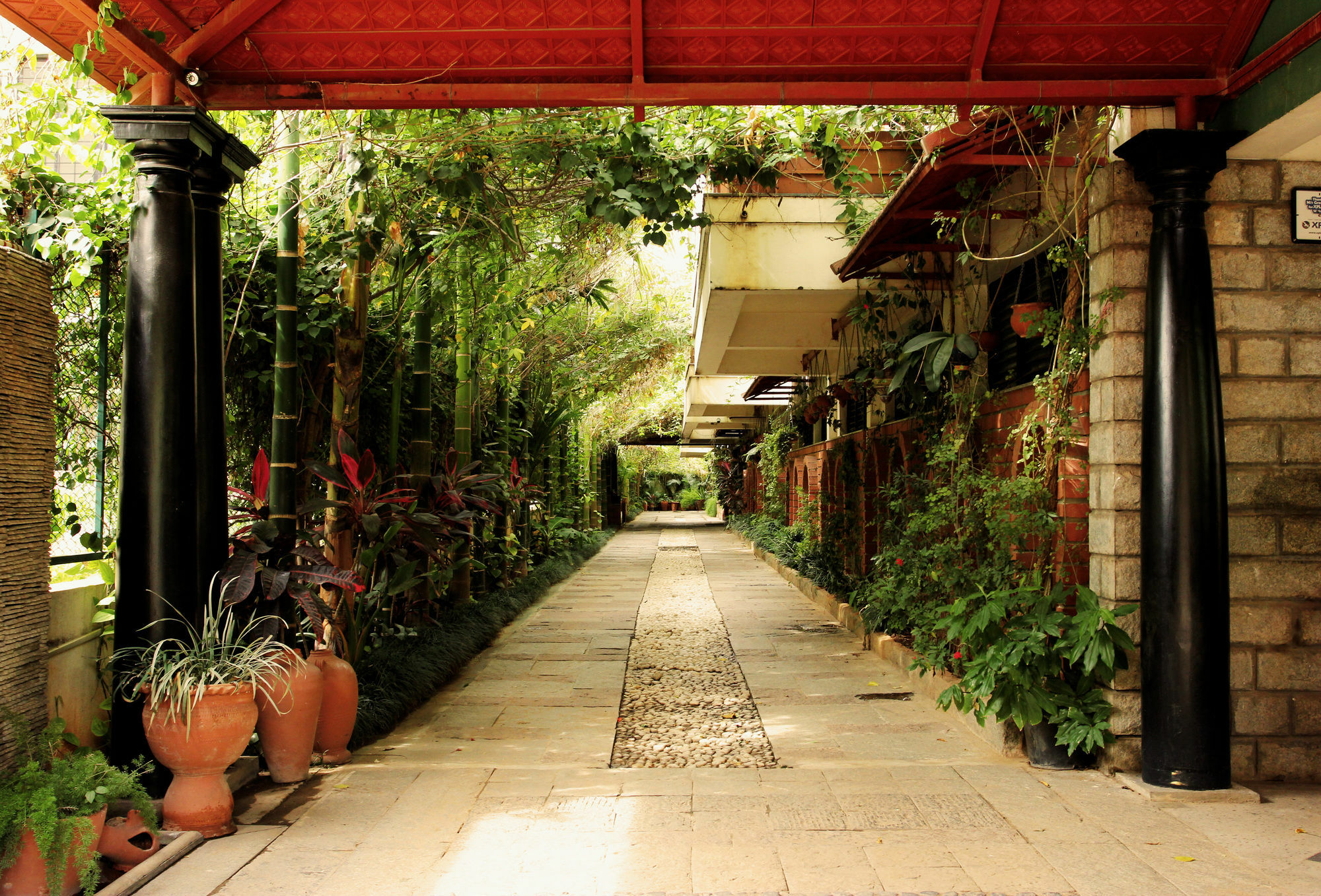Hotel Mint Path Near Ramaiah Hospital Bangalore