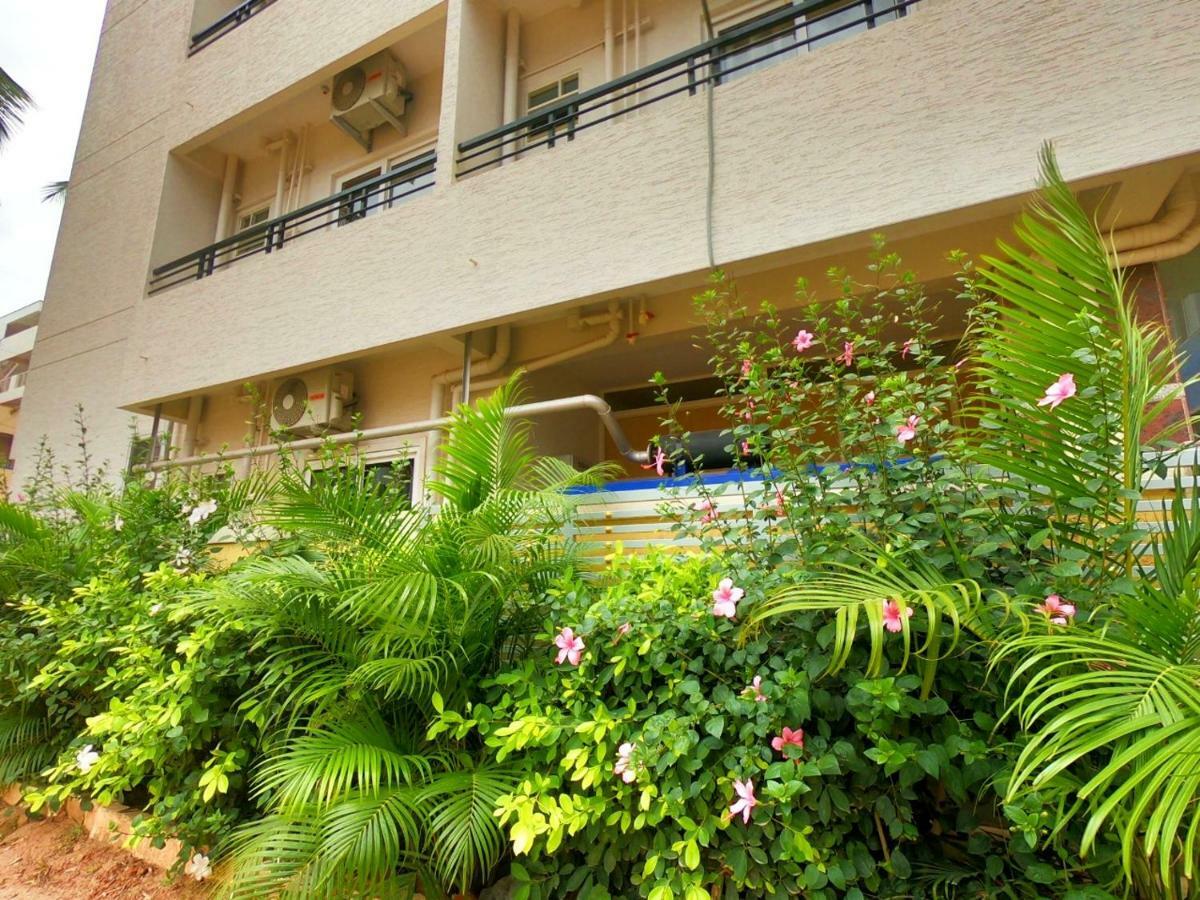 Mapletree Bed & Breakfast Bangalore