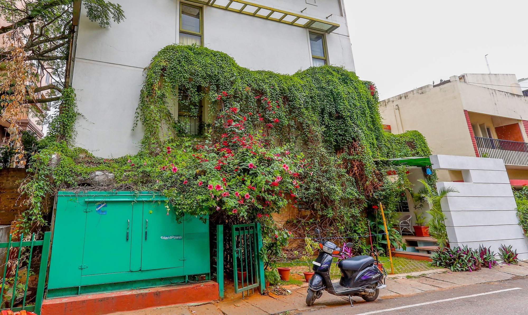 Treebo Red Carpet Bangalore