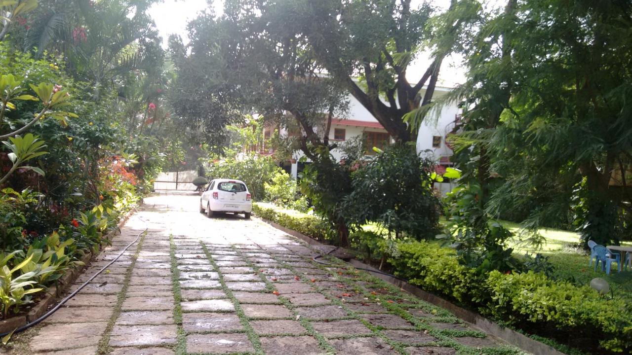 Serena Bangalore