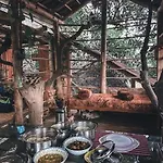 Tree And Mud House