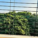1 Bhk Next To The Beautiful Park - 202