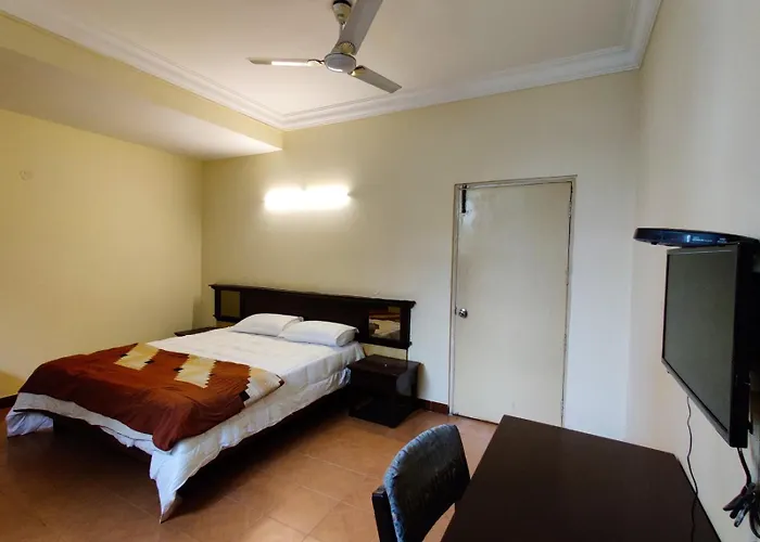 C Suite - Plano