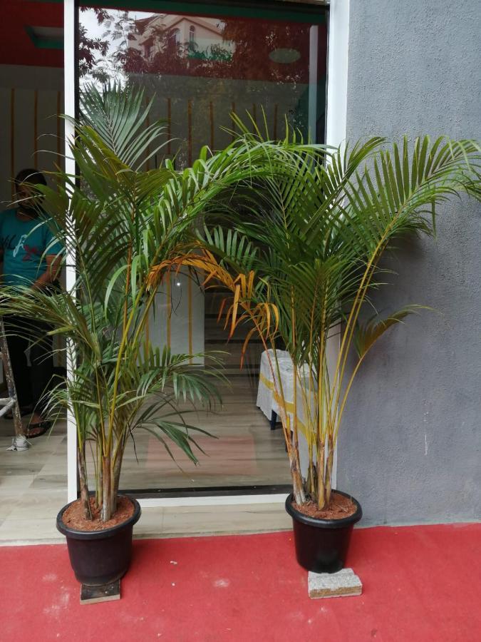 Hotel Sm Comforts Hsr Layout Bangalore