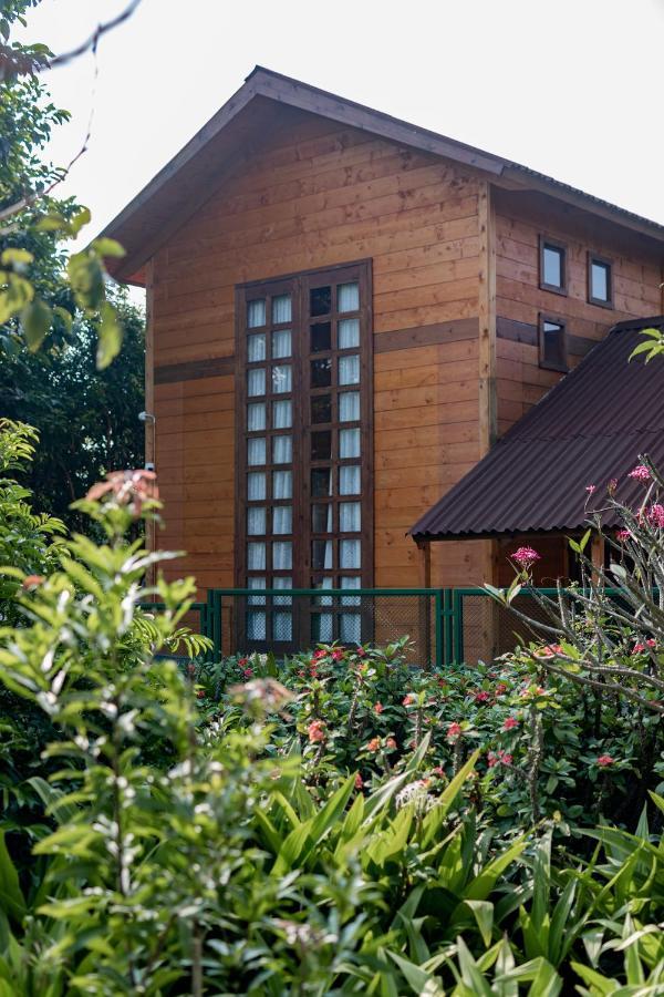 The Pine Loft *