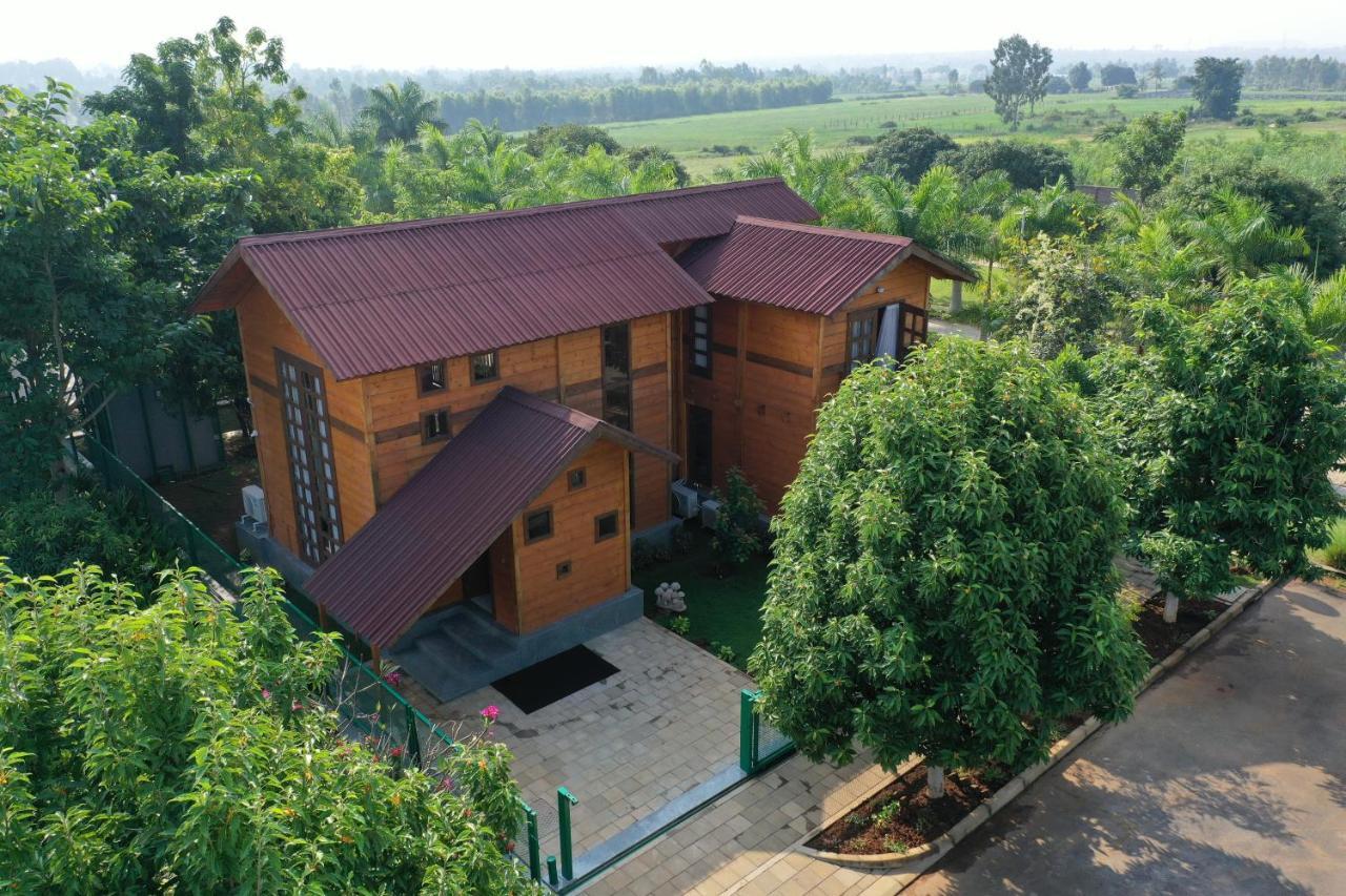 The Pine Loft Holiday home *