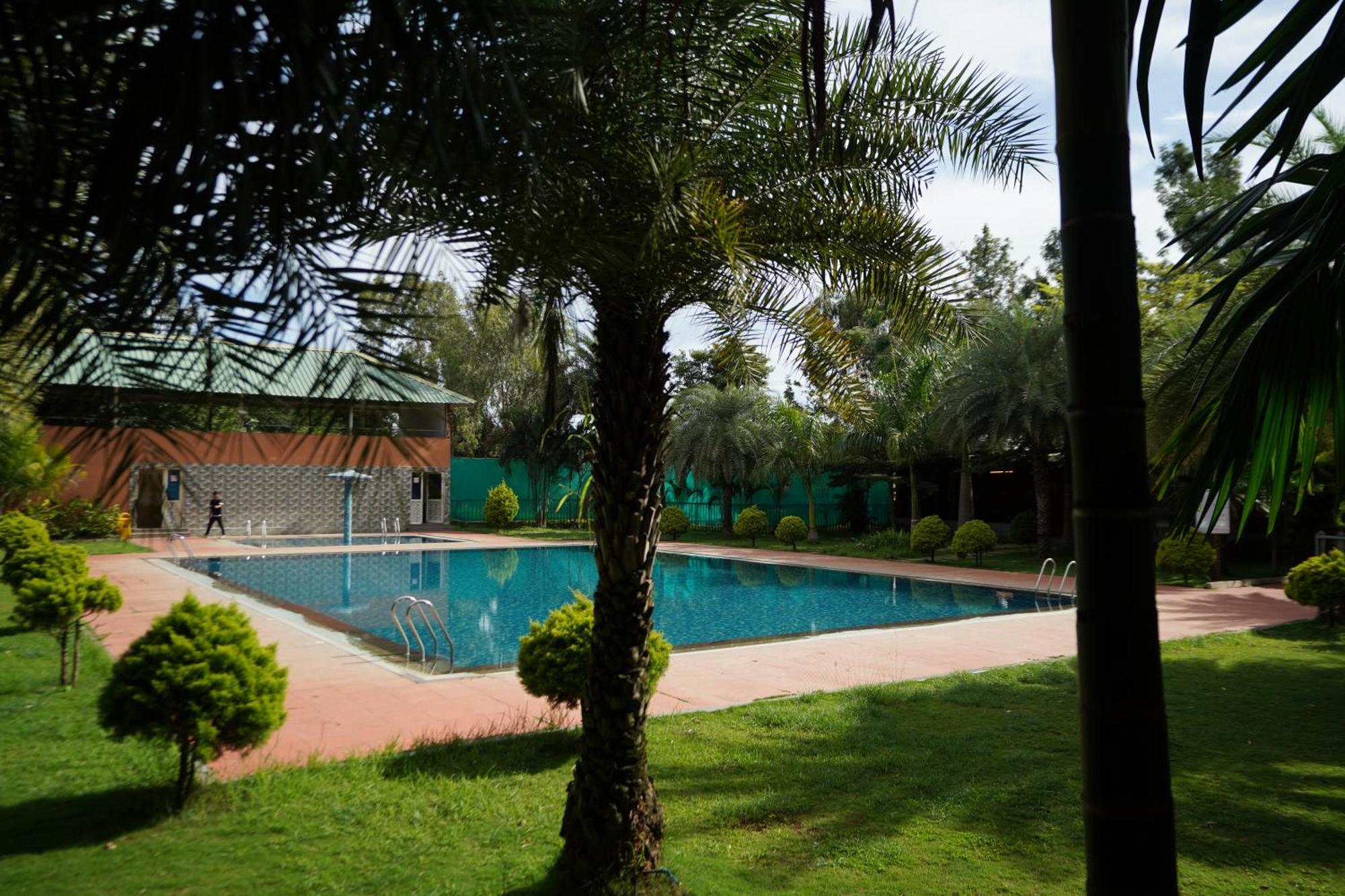 Palm