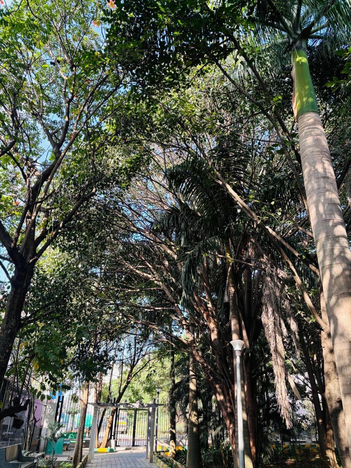 1 Bhk Next To The Beautiful Park - 202 Apartment