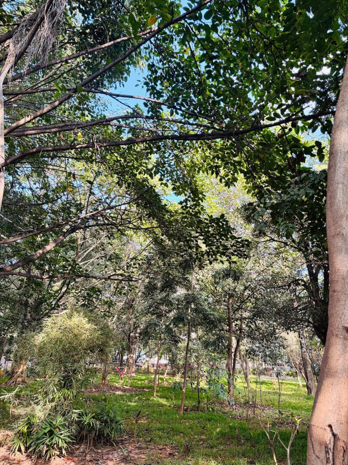 1 Bhk Next To The Beautiful Park - 202 *