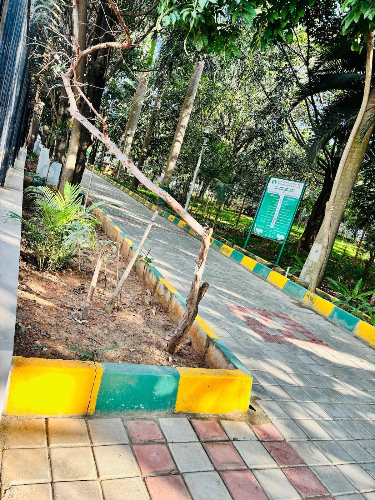 Apartment 1 Bhk Next To The Beautiful Park - 202