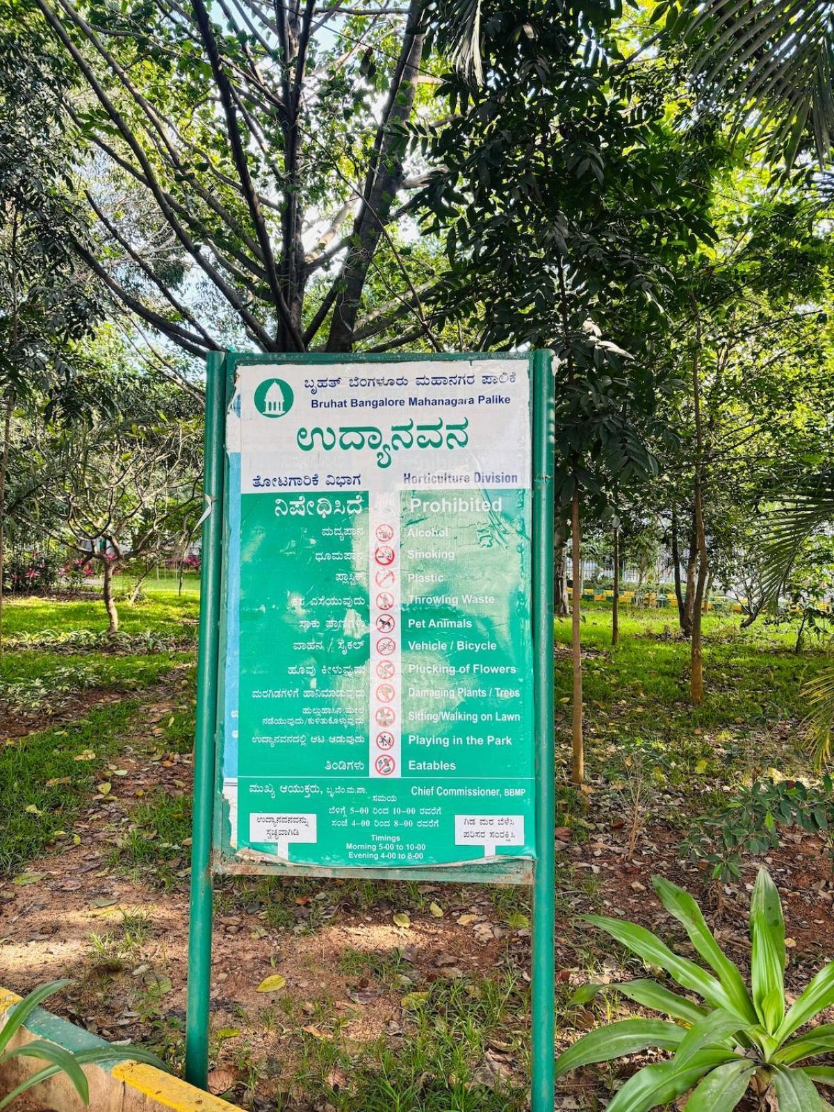 1 Bhk Next To The Beautiful Park - 202