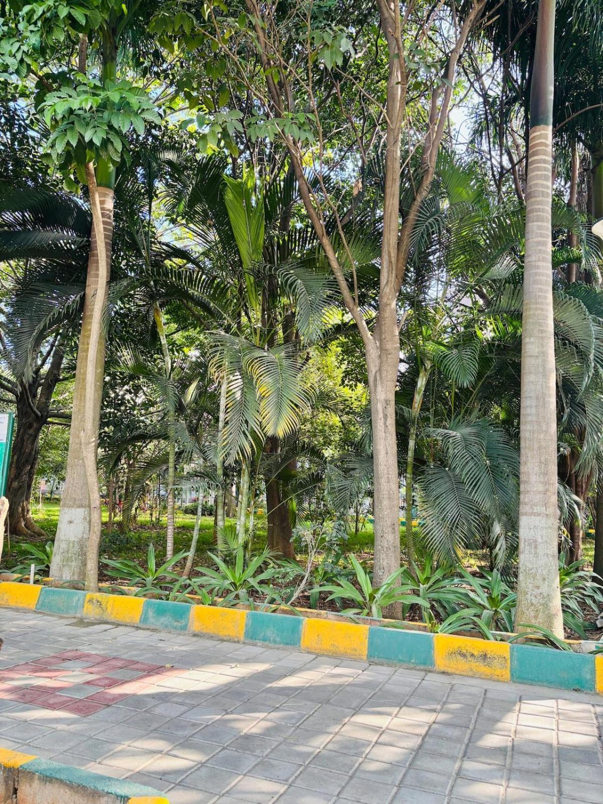 1 Bhk Next To The Beautiful Park - 202 Apartment *