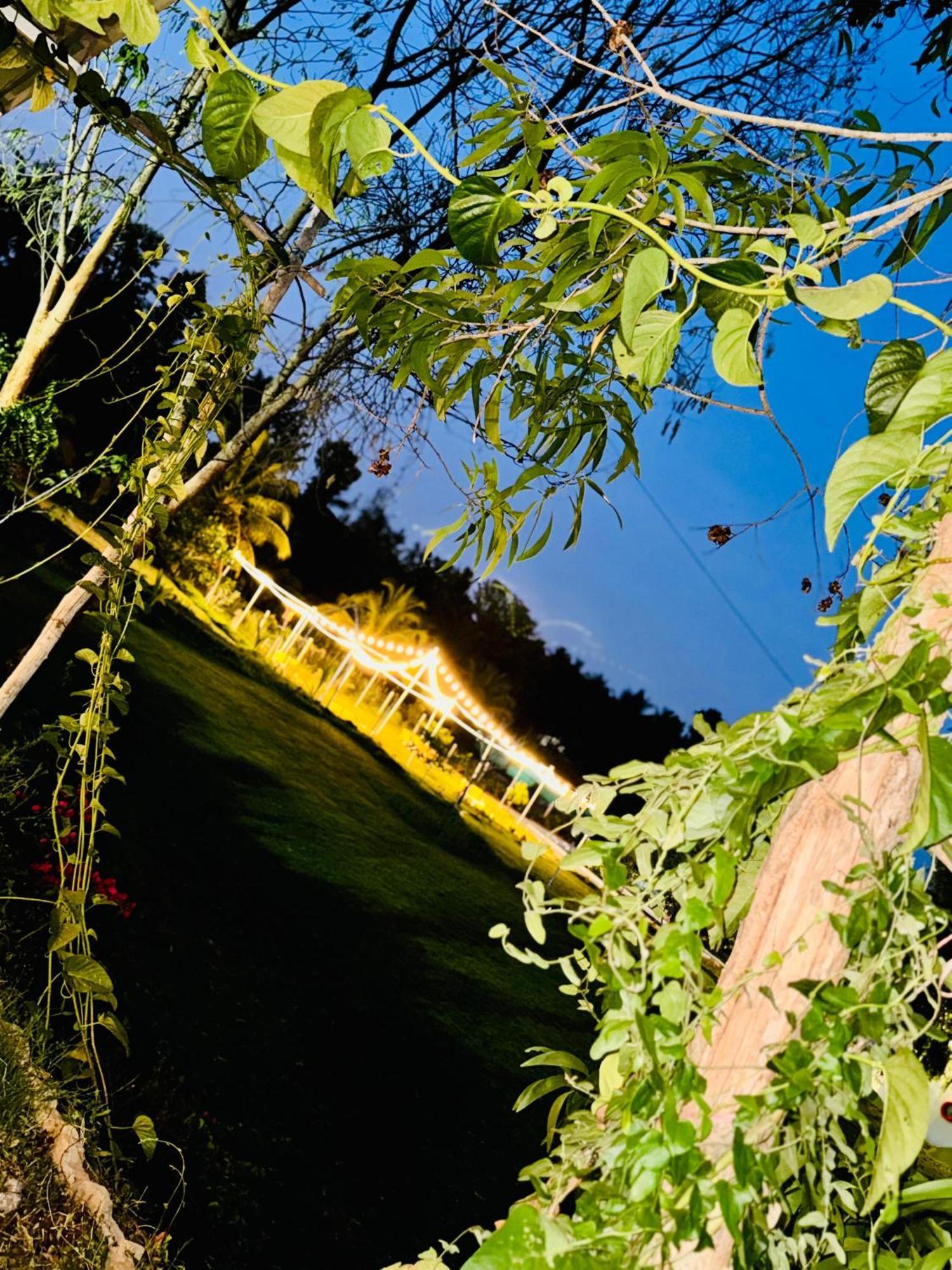 The Fairy Tale Farms Acampamento